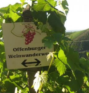 Abtsbergblick